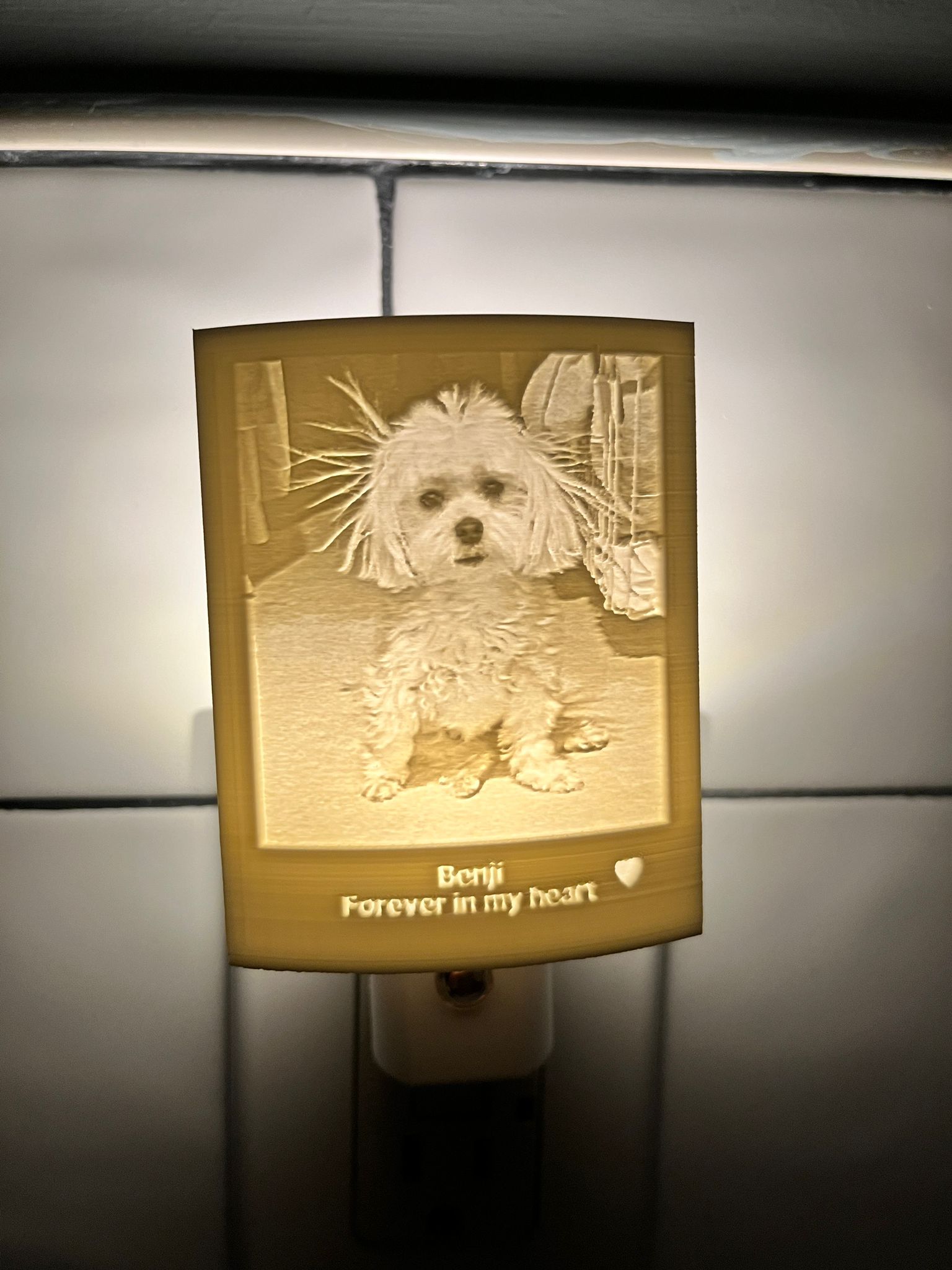 Memory Frame™ Personalize Night Light