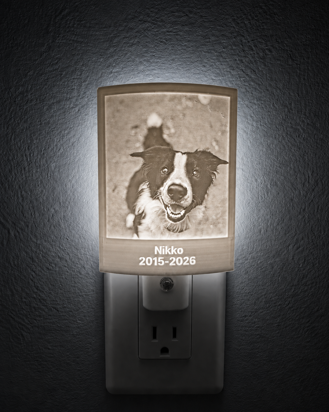 Personalized dog memorial night light glowing on a wall, featuring Nikko’s photo and the dates 2015–2026.