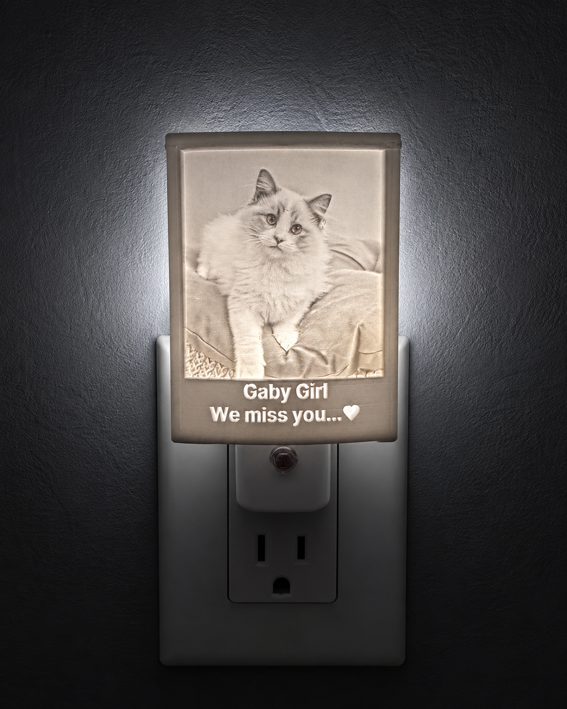 Glowing cat memorial night light featuring Gaby Girl’s photo and the personalized message “We miss you.”