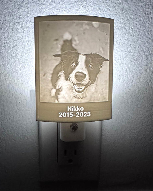 Personalized pet memorial night light glowing on a wall with a border collie's photo