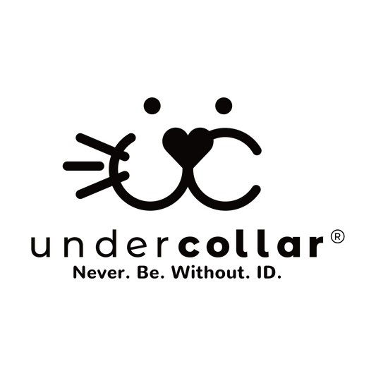 undercollar® Gift Card - Memory Frame™